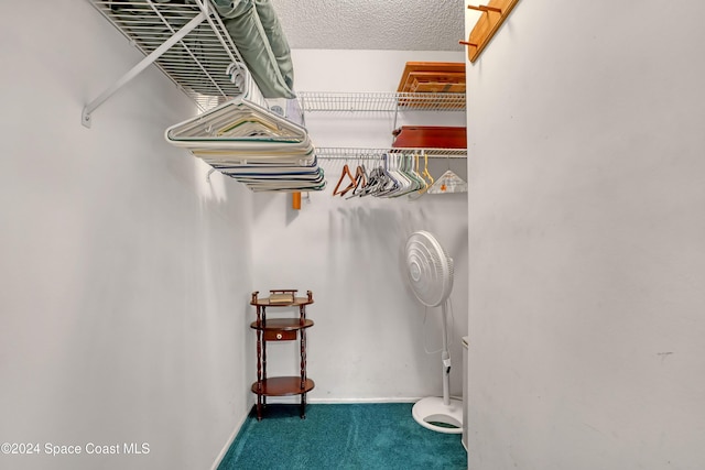 spacious closet featuring carpet floors