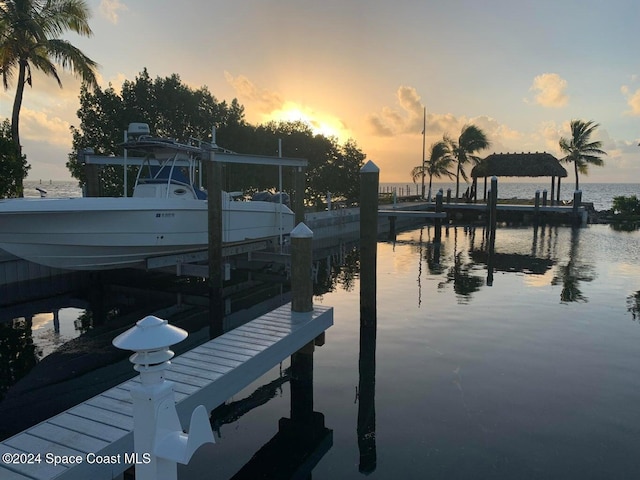 dock area with a water view
