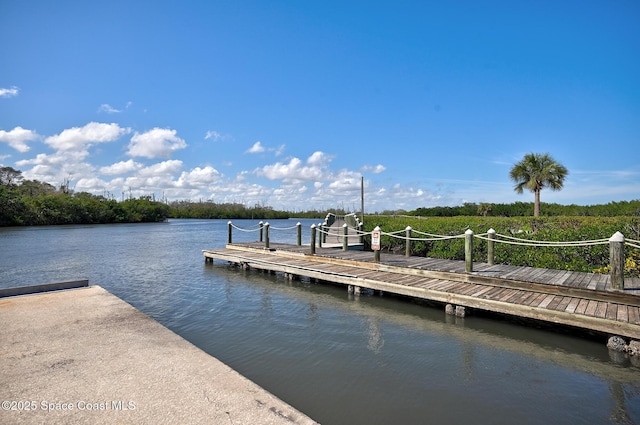 dock area featuring a water view