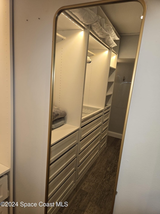 spacious closet with dark wood finished floors