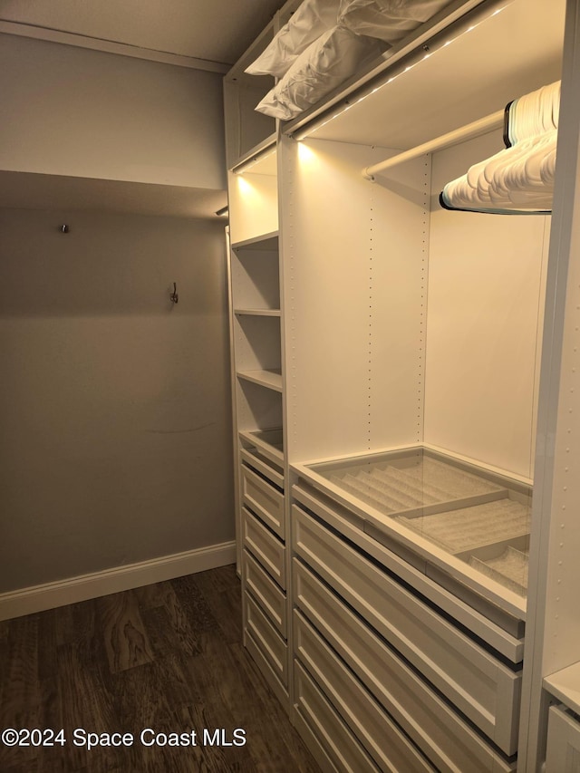 walk in closet featuring dark wood-type flooring