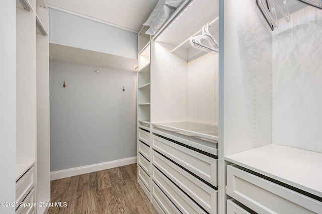 spacious closet with hardwood / wood-style flooring