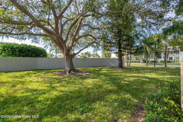 997 Sonesta Ave NE Unit 206, Palm Bay, FL 32905 - view of yard