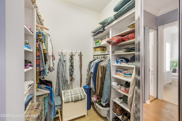 walk in closet featuring light wood-type flooring