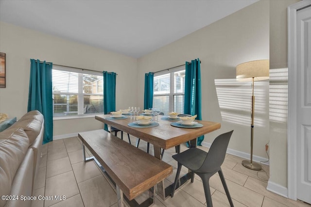 tiled dining area with a wealth of natural light