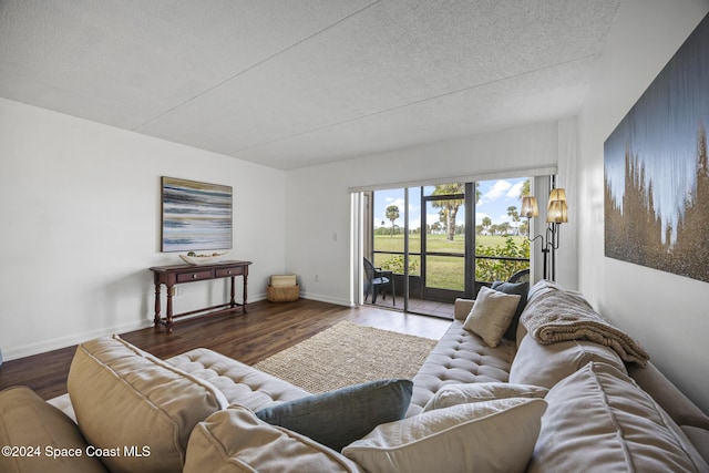 living room featuring a textured ceiling and hardwood / wood-style flooring