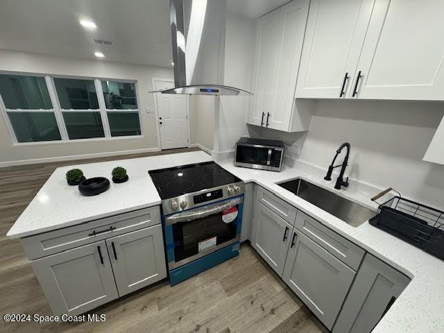 kitchen featuring island exhaust hood, appliances with stainless steel finishes, sink, and wood-type flooring