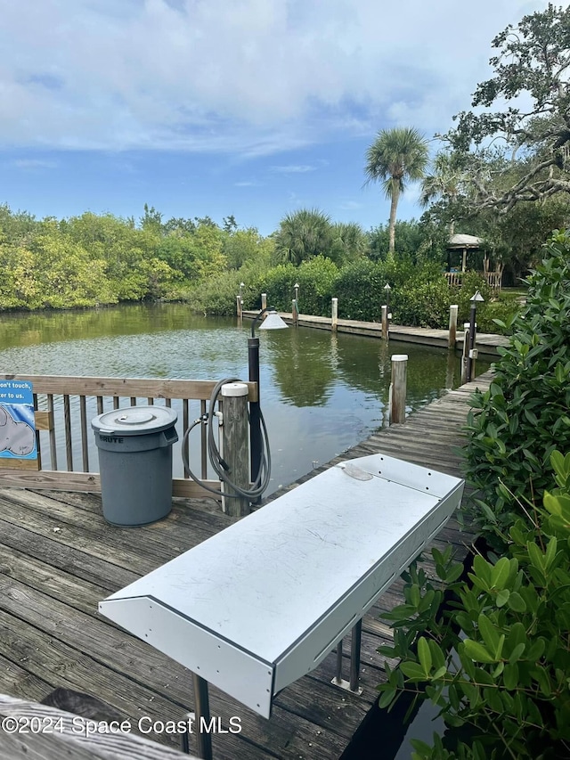 dock area featuring a water view