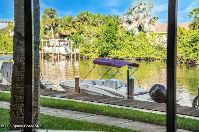 dock area with a water view