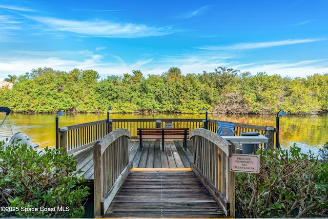 dock area featuring a water view