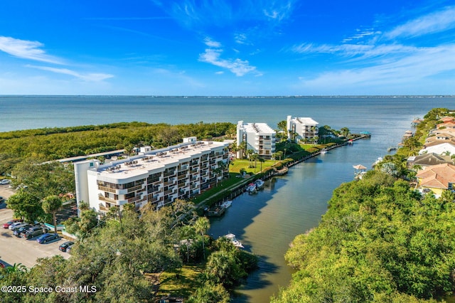 aerial view with a water view