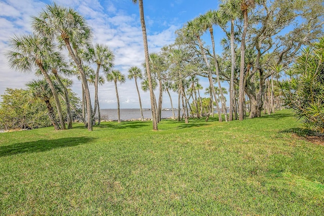 view of yard featuring a water view