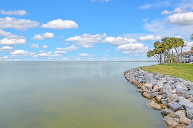 property view of water