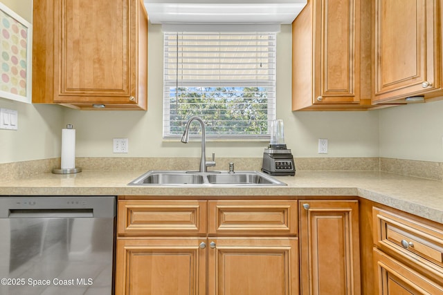 kitchen featuring sink and stainless steel dishwasher