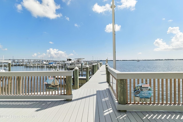 dock area with a water view