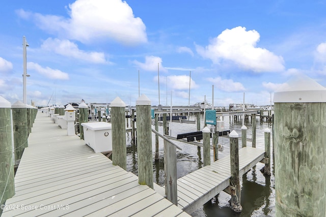 dock area with a water view