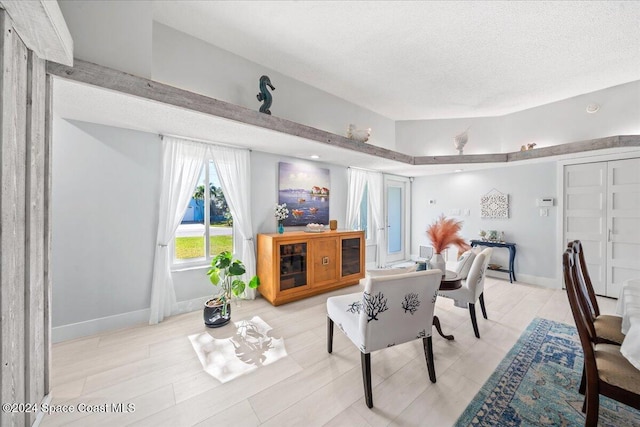 living room featuring a textured ceiling