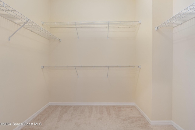 spacious closet with carpet floors