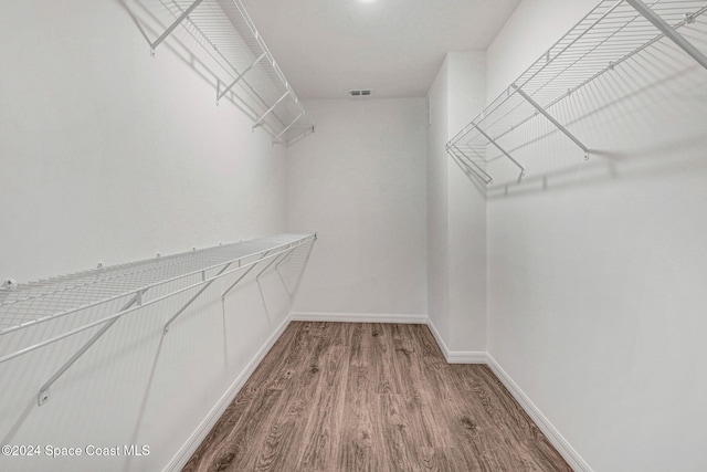 walk in closet with wood-type flooring