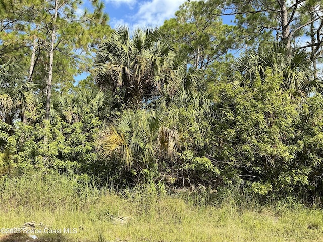 TBDLOT9 Frederick St SW, Palm Bay FL, 32908 land for sale