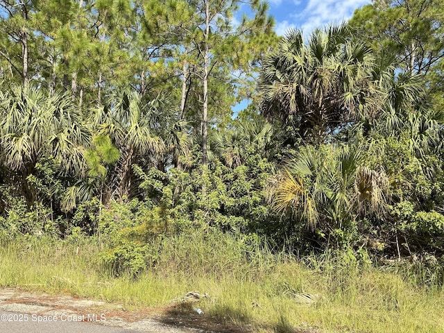 Listing photo 2 for TBDLOT9 Frederick St SW, Palm Bay FL 32908