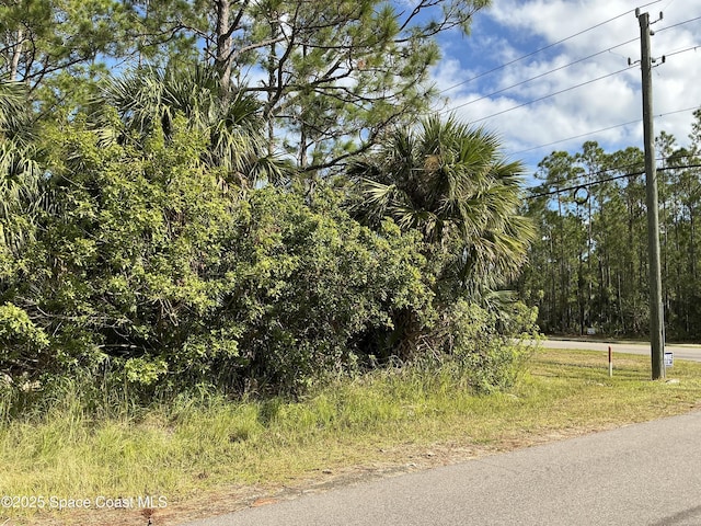 Listing photo 3 for TBDLOT9 Frederick St SW, Palm Bay FL 32908