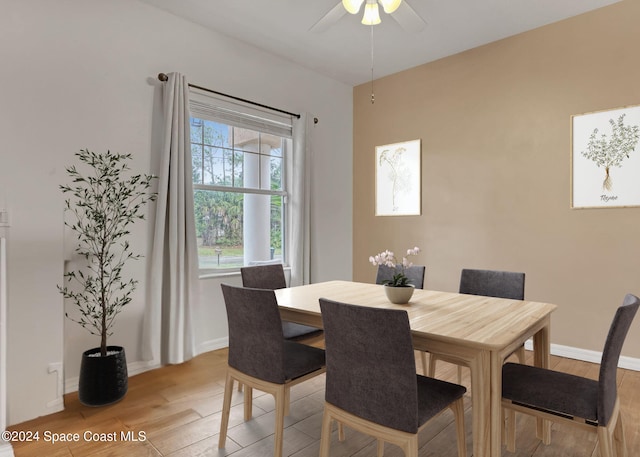 dining room featuring ceiling fan and light hardwood / wood-style flooring