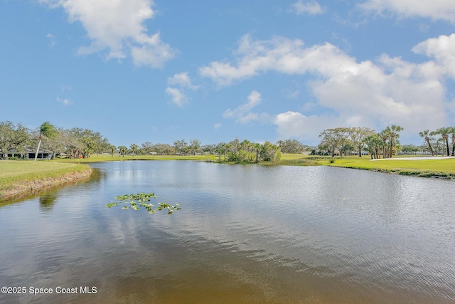 1321 Pilgrim Ave, Melbourne, FL 32940 - photo 29