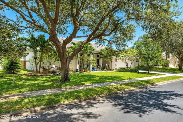 view of front facade with a garage and a front lawn