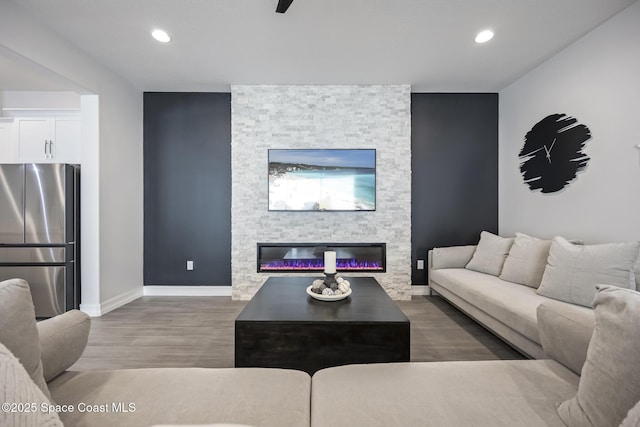 living room featuring a fireplace and dark wood-type flooring