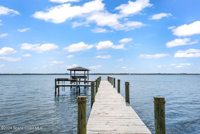 dock area with a water view