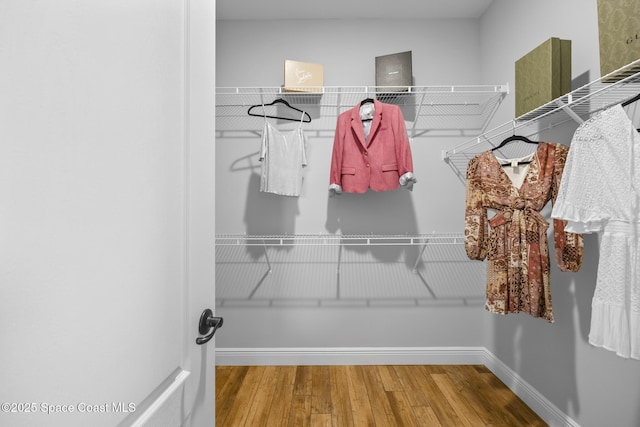 spacious closet featuring hardwood / wood-style floors