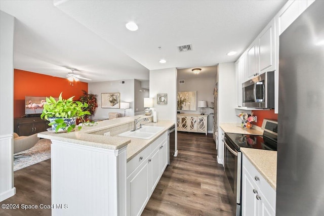 kitchen with dark wood-type flooring, white cabinetry, sink, and stainless steel appliances