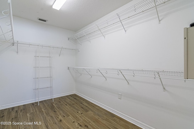 spacious closet with dark hardwood / wood-style flooring