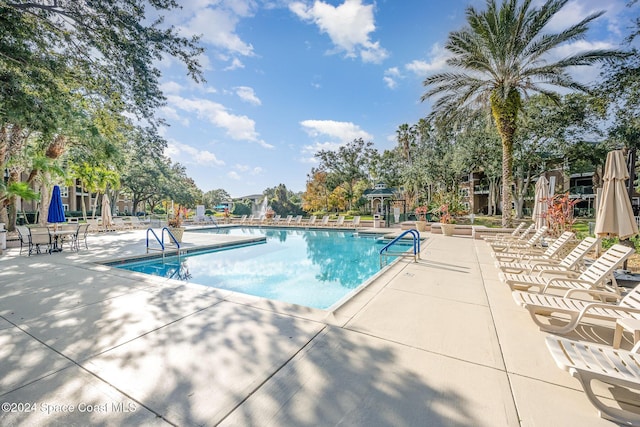 view of pool featuring a patio area