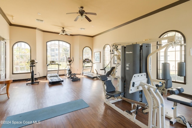 gym with hardwood / wood-style floors, ceiling fan, and ornamental molding