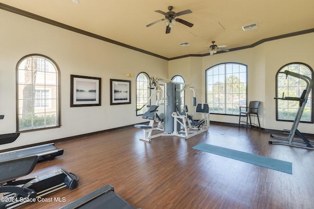 workout area featuring ceiling fan, crown molding, and dark hardwood / wood-style floors