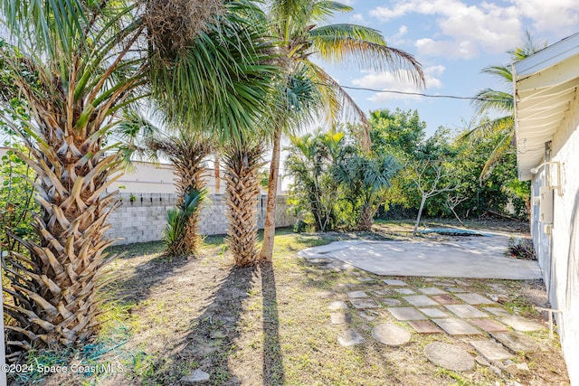 view of yard with a patio