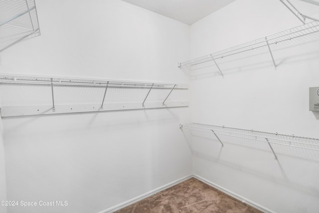 walk in closet with carpet flooring