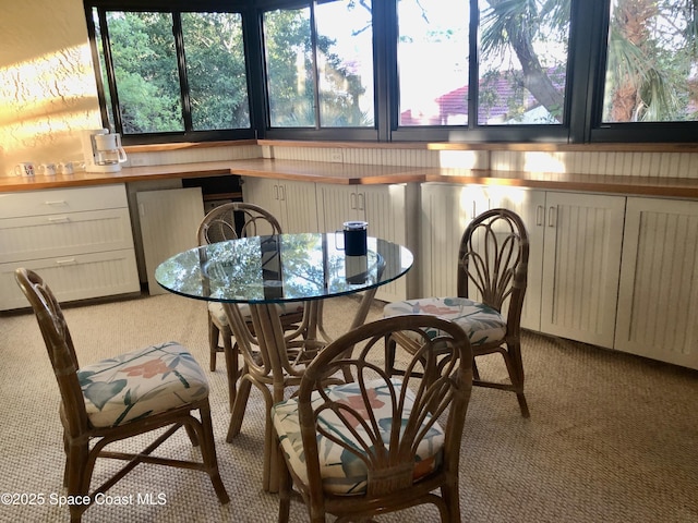 sunroom / solarium with radiator heating unit