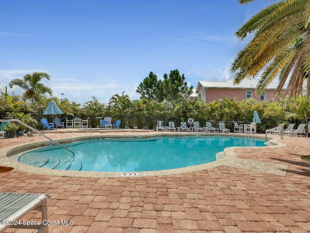 view of pool featuring a patio