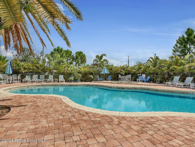 view of swimming pool with a patio area