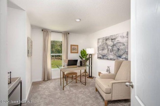 home office with light colored carpet and a textured ceiling