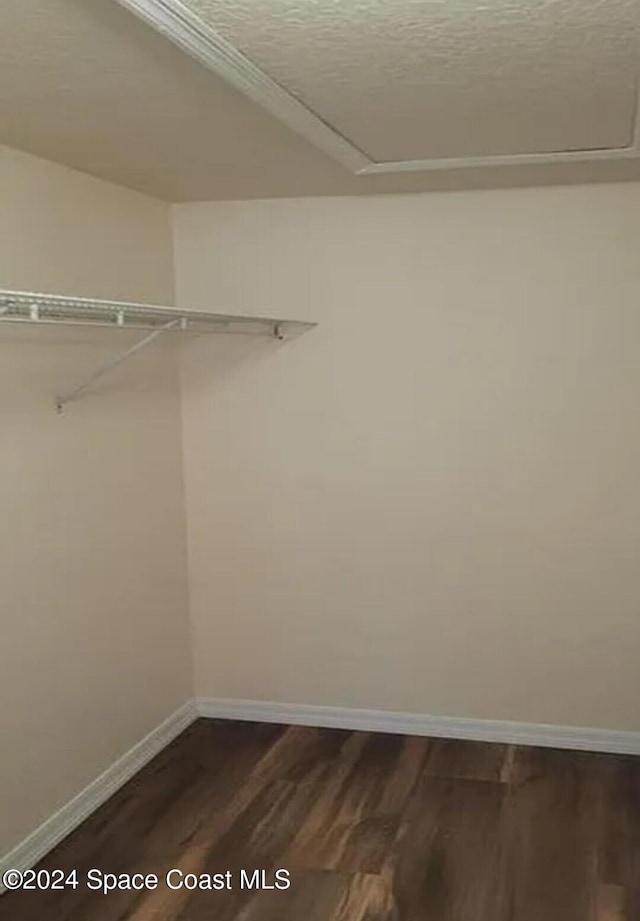 walk in closet featuring dark wood finished floors