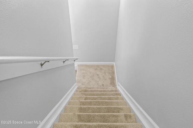 stairs featuring carpet flooring