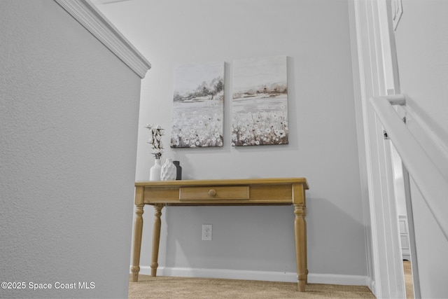 room details with carpet flooring