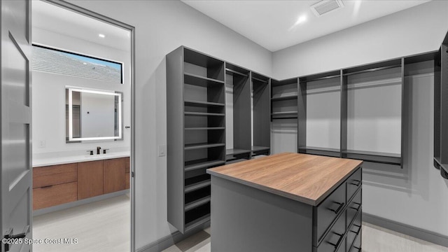 spacious closet featuring sink