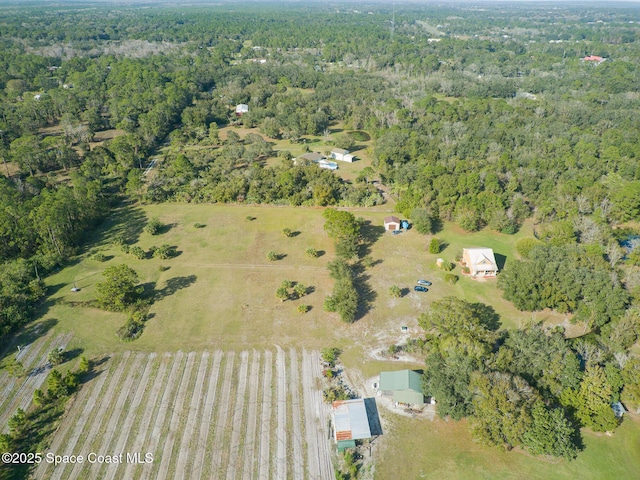 4625 Addie Ave, Mims, FL 32754 - photo 29