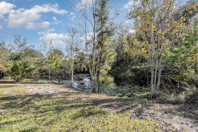 view of yard featuring a water view