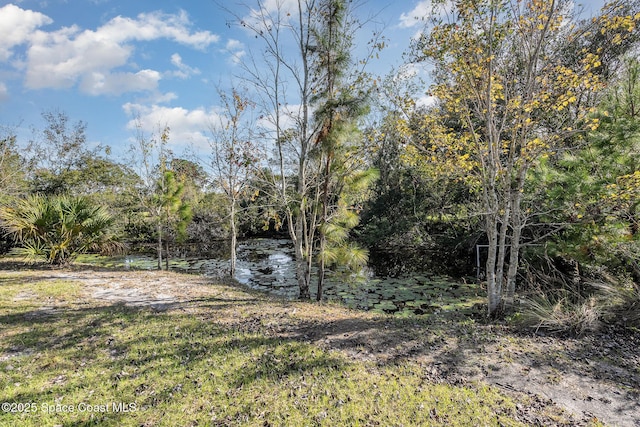 4625 Addie Ave, Mims, FL 32754 - photo 16